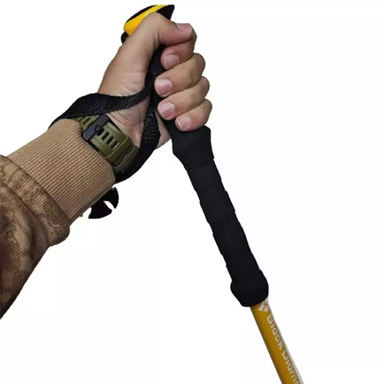 عصای کوهنوردی Black Diamond مدل Air Carbon (دو عددی)