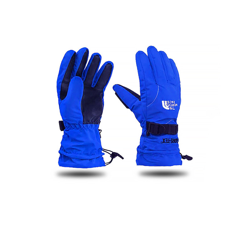 دستکش دوپوش نورث فیس The North Face